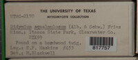 Image Associated With the Occurence